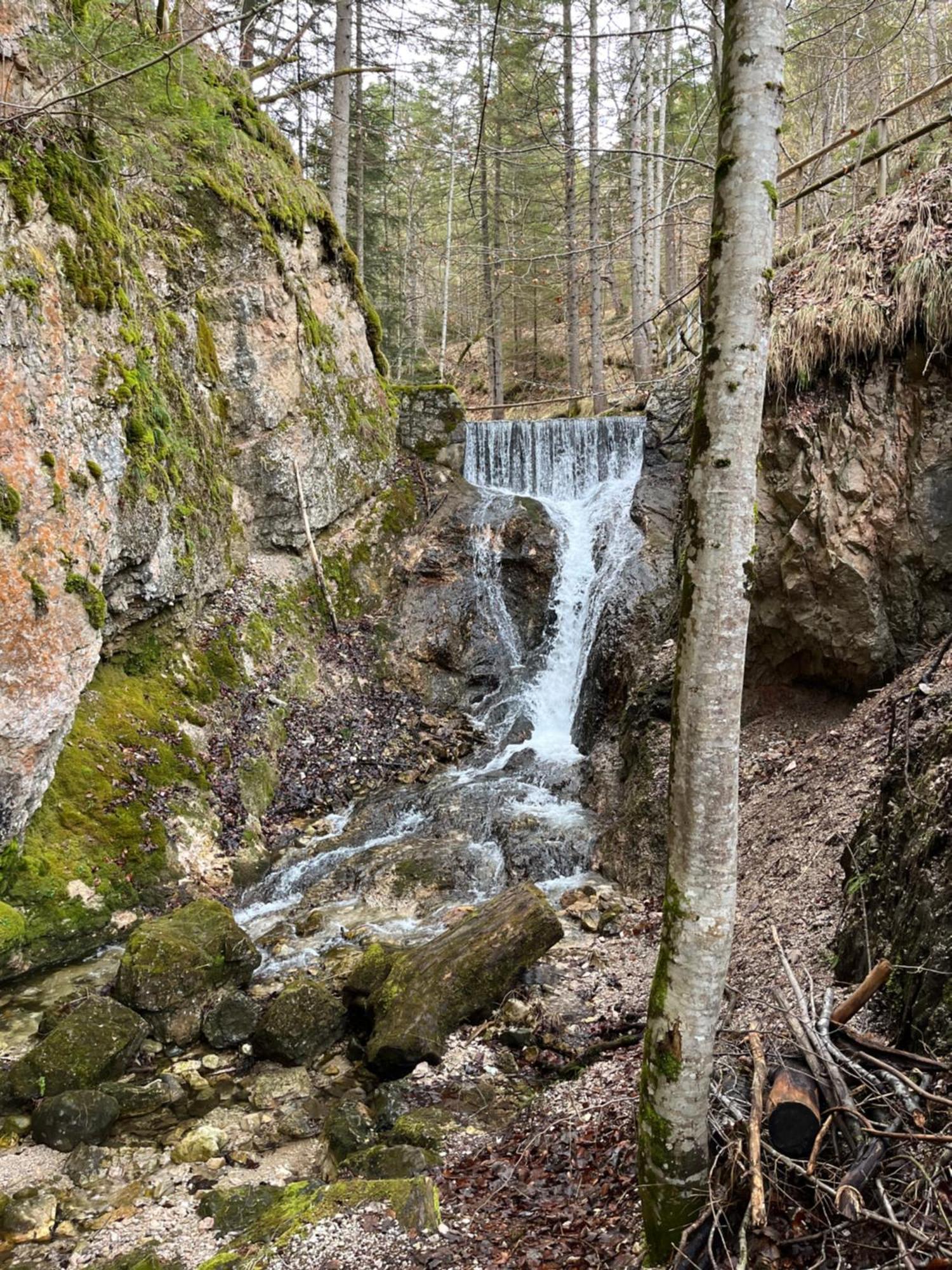Fewo Lautersee Mittenwald Exteriör bild