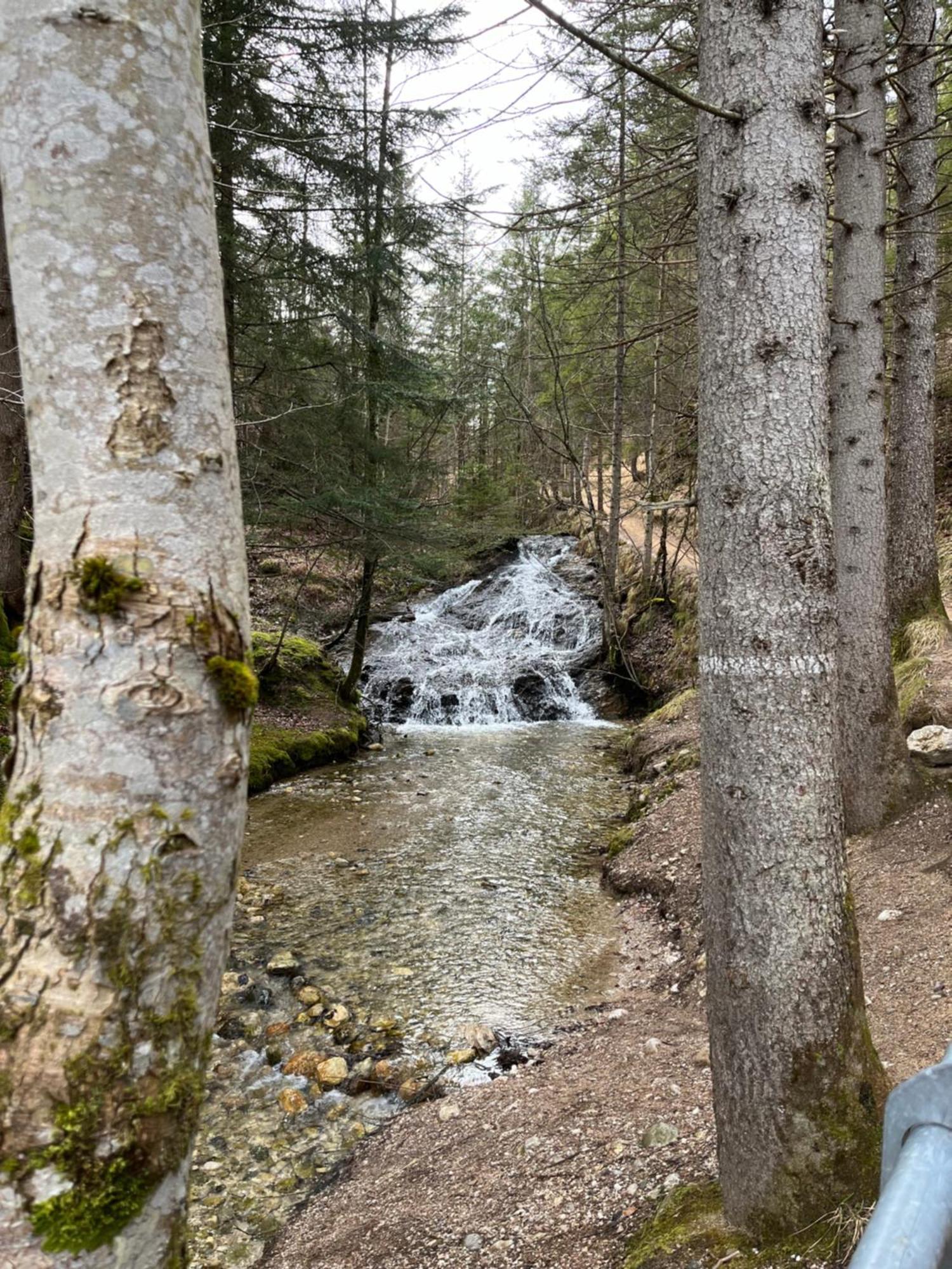 Fewo Lautersee Mittenwald Exteriör bild