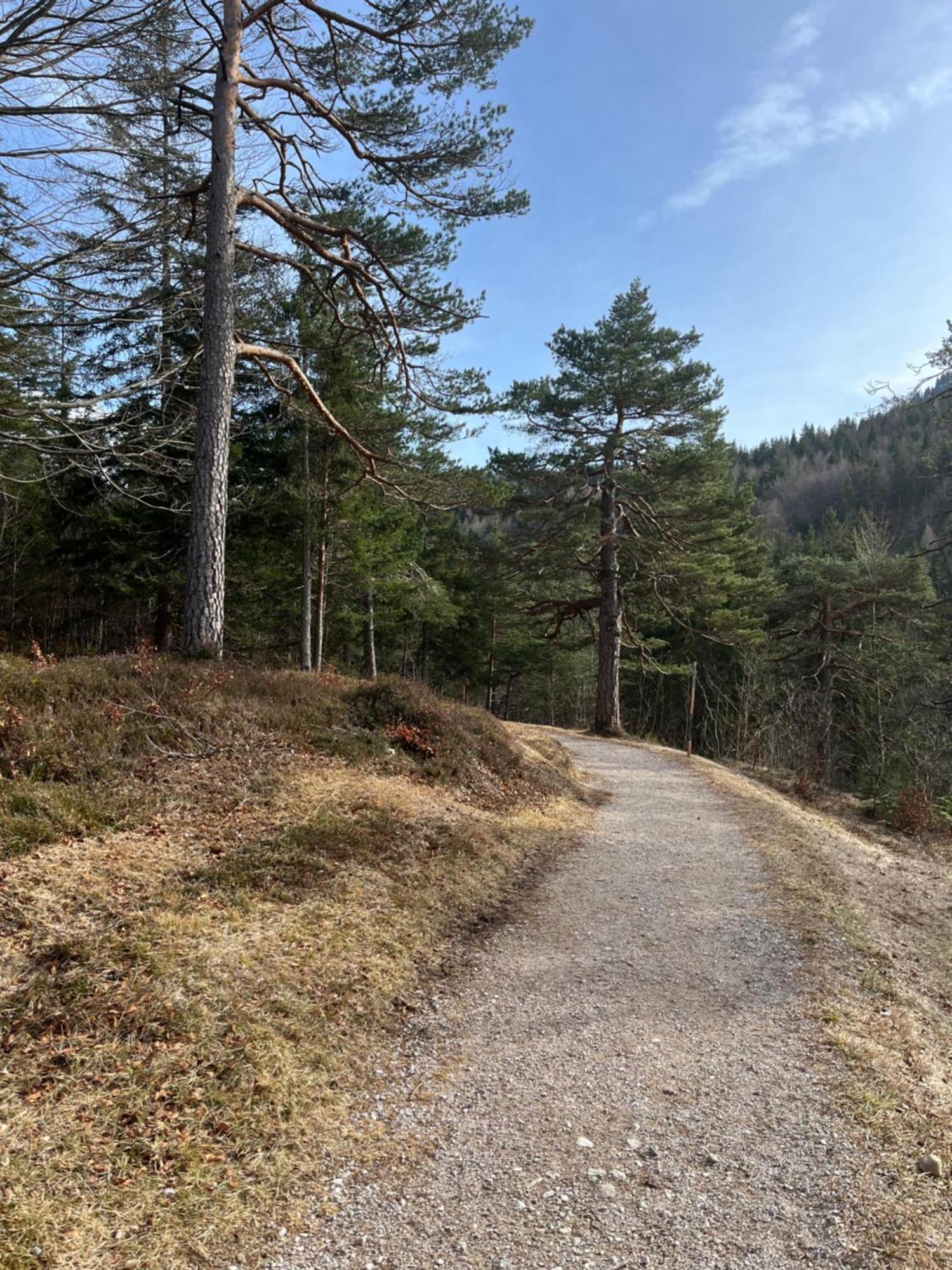Fewo Lautersee Mittenwald Exteriör bild