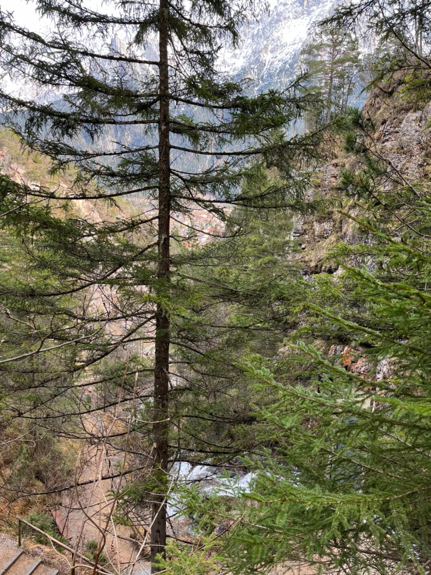 Fewo Lautersee Mittenwald Exteriör bild